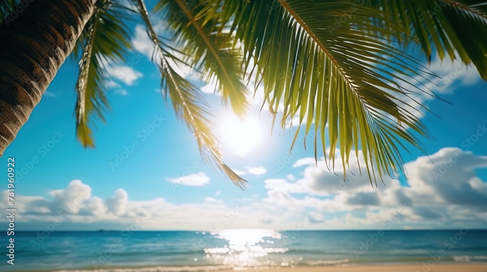 Beautiful tropical beach with green palm leaf, clouds on a sunny day.