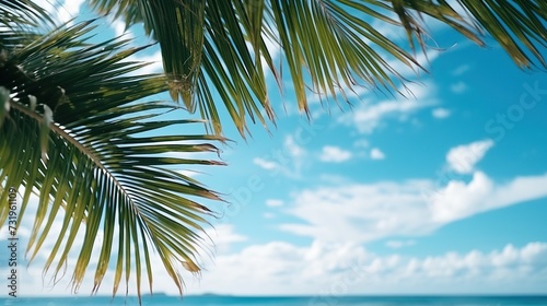 Beautiful tropical beach with green palm leaf  clouds on a sunny day.