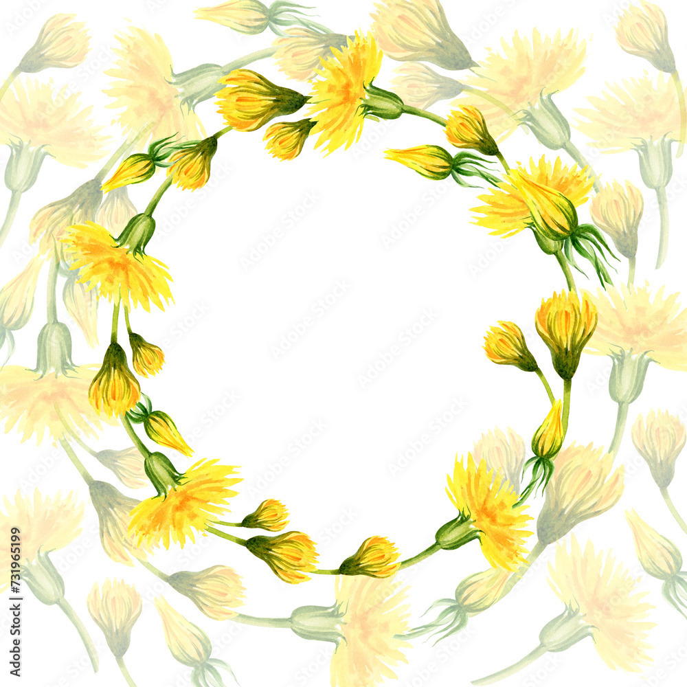 watercolor wreath with summer and spring yellow dandelion, hand draw summer field flowers, buds and herbs, sketch of spring yellow flowers on transparent yellow dandelion background watercolor wreath with summer and spring yellow dandelion, hand draw summer field flowers, buds and herbs, sketch of spring yellow flowers on transparent yellow dandelion background