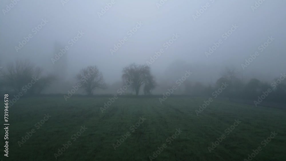 Dolly shot getting closer to a naked tree in the fields, foggy morning Dolly shot getting closer to a naked tree in the fields, foggy morning