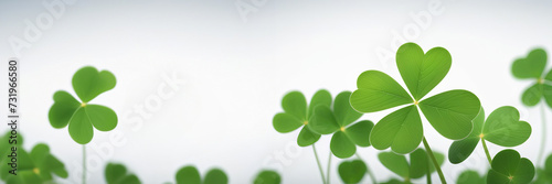 Background with clovers, St. Patrick's Day background. Copy space banner photo