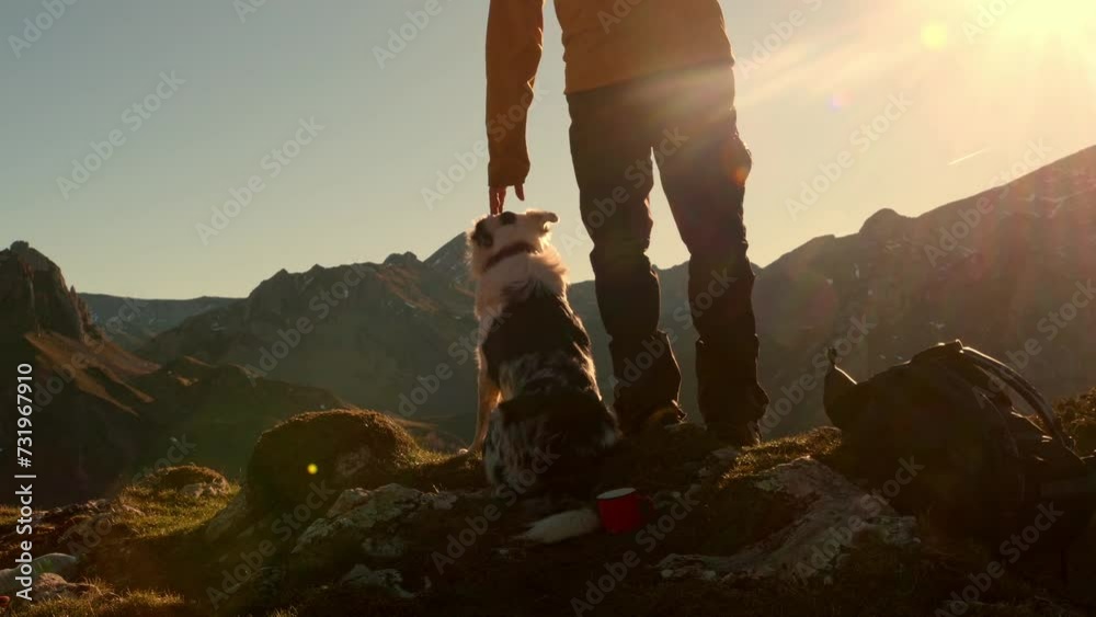 A man hiker contemplates the landscape from a mountain peak while petting and playing with his border collie dog. outdoor activities with pet.