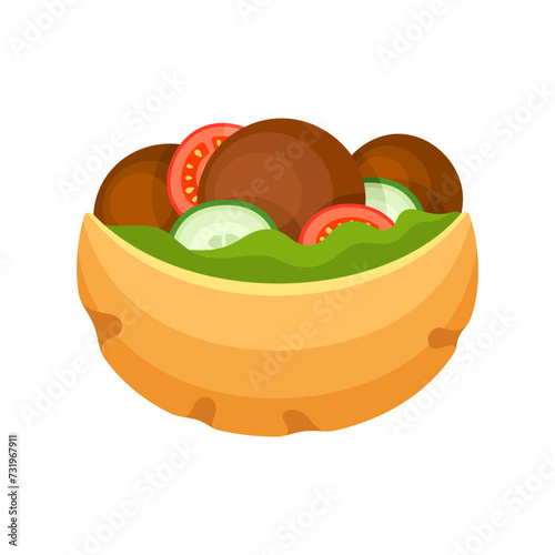 Falafel in pita bread vector illustration