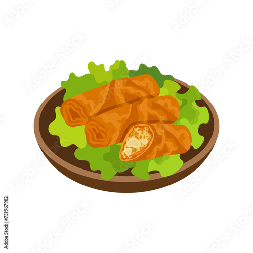 Fried spring rolls asian food vector illustration