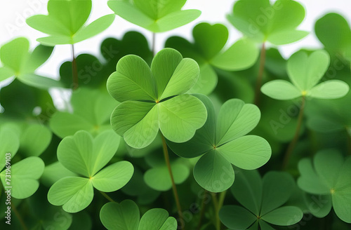 Background with clovers, St. Patrick's Day background