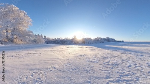 zauberhaft vereiste sonnige Winterlandschaft im Morgenlicht  Winterwunderland  Winterzauber  vereiste B  ume  Schnee  K  lte  Raureif  Natur  Idylle  Frost 