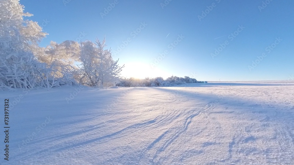 zauberhaft vereiste sonnige Winterlandschaft im Morgenlicht, Winterwunderland, Winterzauber, vereiste Bäume, Schnee, Kälte, Raureif, Natur, Idylle, Frost 