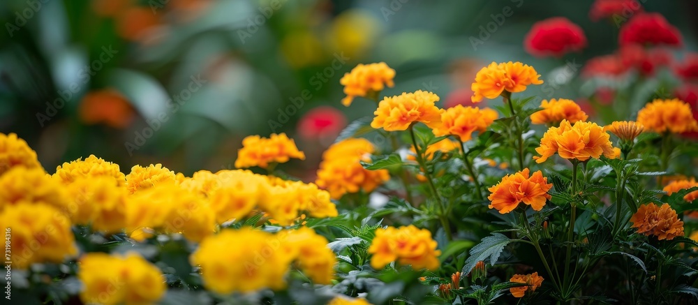 There is a vibrant garden filled with a variety of flower species including yellow and orange petals. The plants range from shrubs to annuals, creating a colorful display on the groundcover.