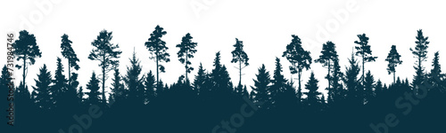 Coniferous forest, silhouette of pine trees and spruces, beautiful landscape. Vector illustration
