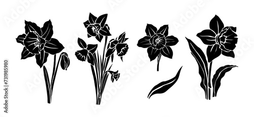 Set of black silhouettes of Daffodil with steam and leaves, March birth month flowers. Hand drawn outline flower icon. Vector monochrome illustrations isolated on transparent background. photo