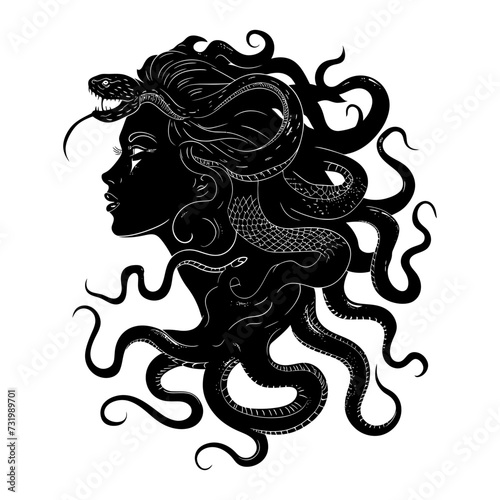 Silhouette Medusa the Mythical Creature With Hair of Snake