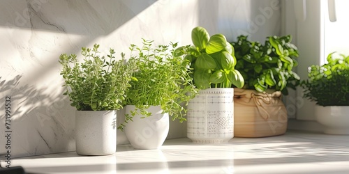 Growing herbs and spices on kitchen countertop