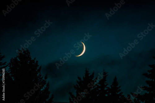 moon in the sky