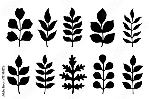 Silhouettes of twigs with leaves. Vector autumn or spring illustrations. Isolated on white background. Flat style. Simple plant outlines for paper or laser cutting and printing on any surface.
