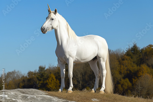 Radiant Snowy Unicorn Majesty
