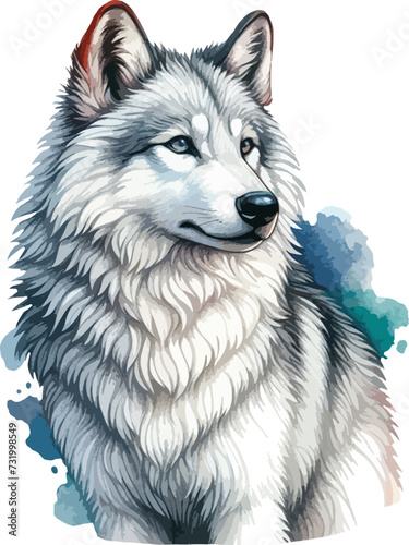 Watercolor isolated vector of wolf 