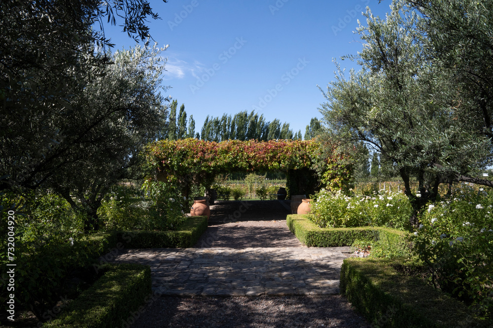 Landscaping and garden design. View of the stone path across the beautiful garden with olive trees, rosebushes and a pergola covered with climbing plant under a clear blue sky 