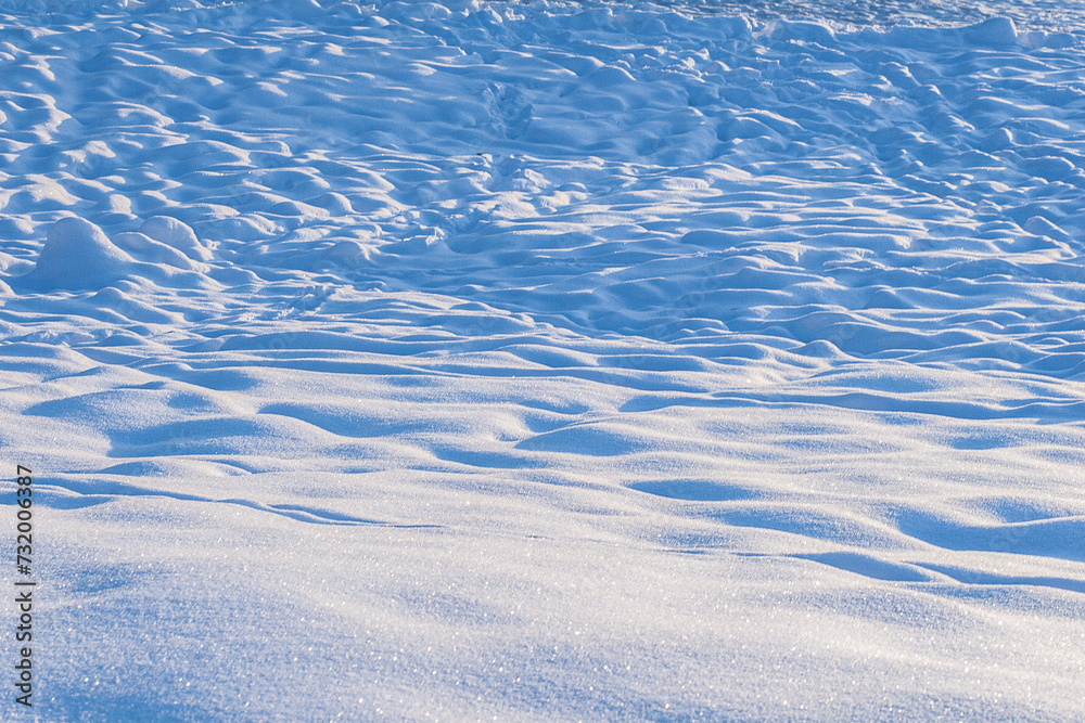 Footprints and Paw Prints in the Snow. Footprints and Paw Prints in the Snow.