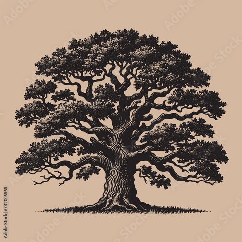 Old oak tree. Vintage engraving illustration in Renaissance style. Isolated object. Black and white. Outline vector illustration	