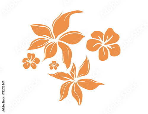 hawaian, hibiscus, 