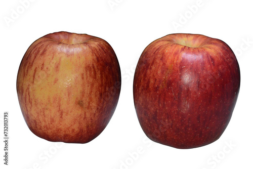Apple that is rot with transparent background illustration.