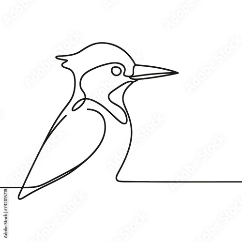 Woodpecker in a line drawing style photo