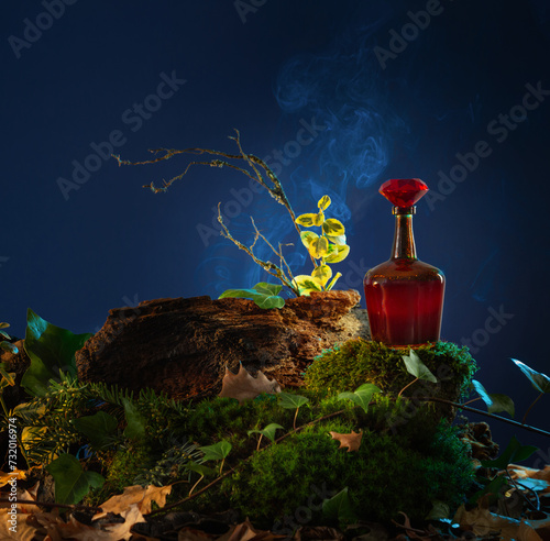 bottle with potion in night forest