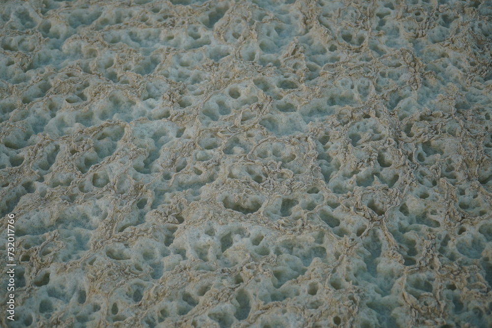Close up background of piles of foam caused by an algal bloom in the Rio Tapajos, Brazil. Water contaminated by chlorophytes in the tropics, resulting in the death of animals and fish. Close up background of piles of foam caused by an algal bloom in the Rio Tapajos, Brazil. Water contaminated by chlorophytes in the tropics, resulting in the death of animals and fish.