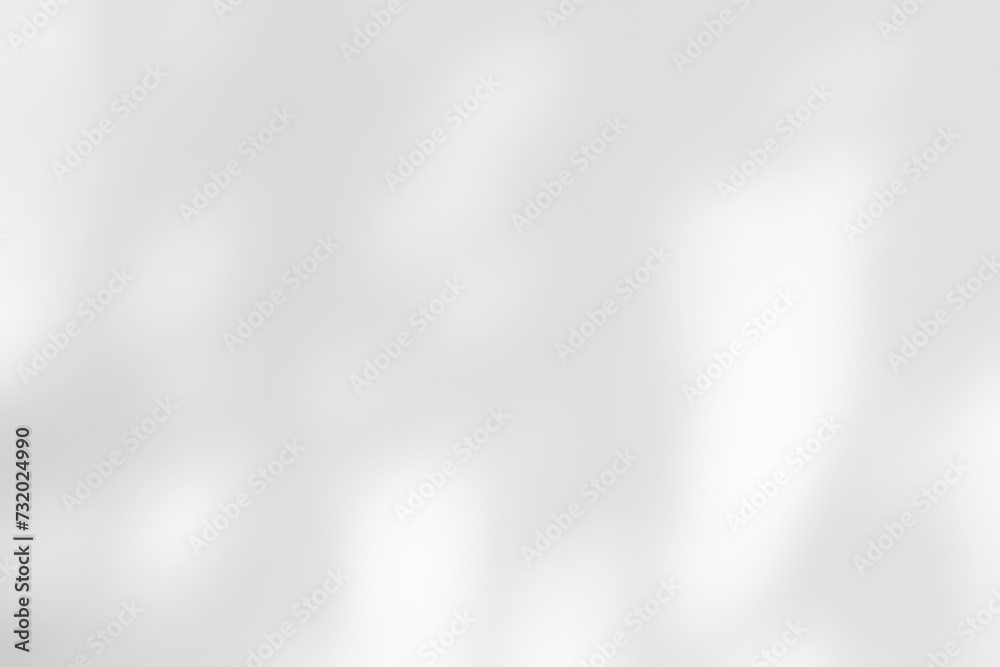 White wall with shadow of leaves overlay. Sunlight effect shadow on the wall. Minimal blurred backdrop backgrounds. Summer tropical surface background. White wall with shadow of leaves overlay. Sunlight effect shadow on the wall. Minimal blurred backdrop backgrounds. Summer tropical surface background.