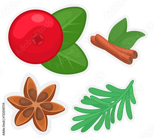 Set of vector food illustrations. Rosemary, badian, lingonberry, cinnamon.