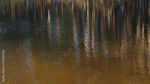 Abstract water tree reflections. Reflection in the water of trees growing on the banks. Colorful water reflections. Wallpaper Pattern of Water. Ripple Reflect. Pattern Design for Clothing and Interior