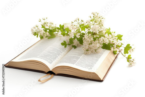 Bouquet of flowers on an open book  on white background