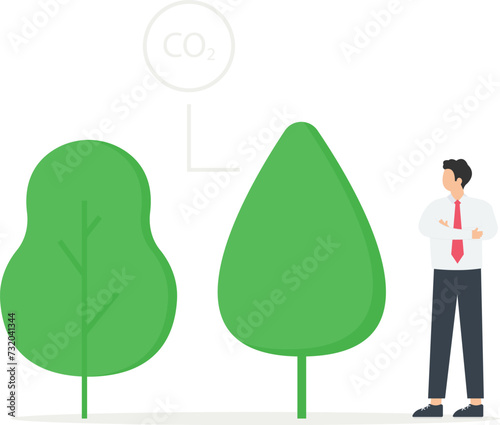 Credit and forest conservation low carbon green plant nature trees concept,
