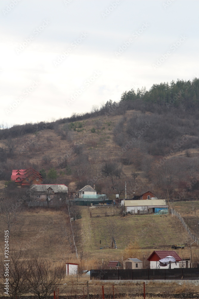 Fototapeta premium A group of houses on a hill