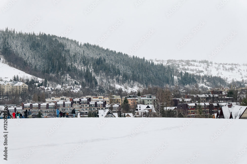 view of the mountains in the snow