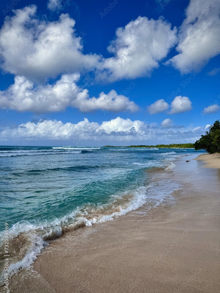 Obraz premium view of a deserted sandy beach in the caribbean in guadeloupe 