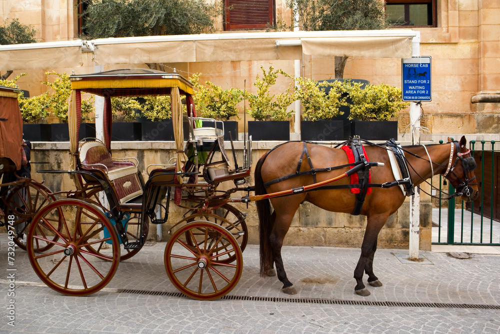 Horse-drawn carriage in Valletta, Malta
Horse-drawn carriage in Valletta, Malta
