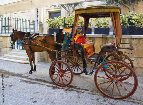  Horse-drawn carriage in Valletta, Malta