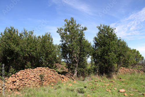 Willem Pretorius Reserve is the preserved ruins and artefacts of an old Leghoya (Ghoya) settlement. The Leghoya people of Southern Africa disappeared around the end of the 18th century after being con