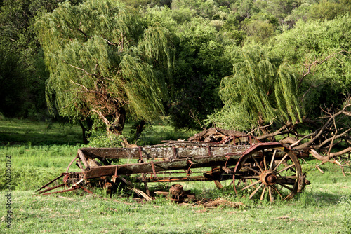 An old ox-wagon that was left abandoned on a farm  in the Vredefort Dome area, North west, Sout Africa, 