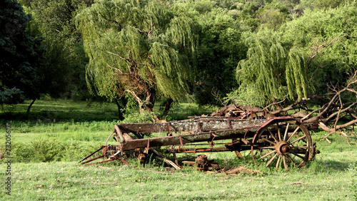 An old ox-wagon that was left abandoned on a farm  in the Vredefort Dome area, North west, Sout Africa, 