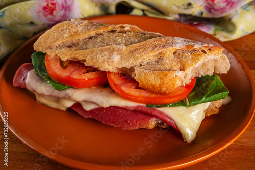 artisanal baguette sandwich with melted mozzarella, mortadella, arugula and tomato slices