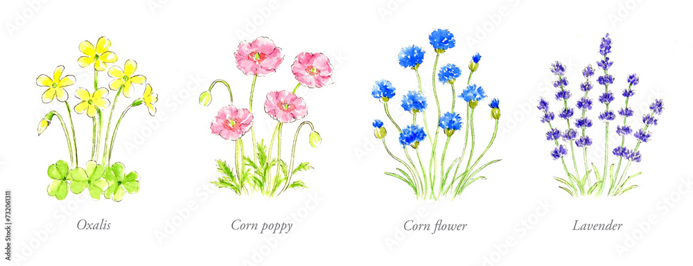 ワンポイントに使える花の手描き水彩イラスト
