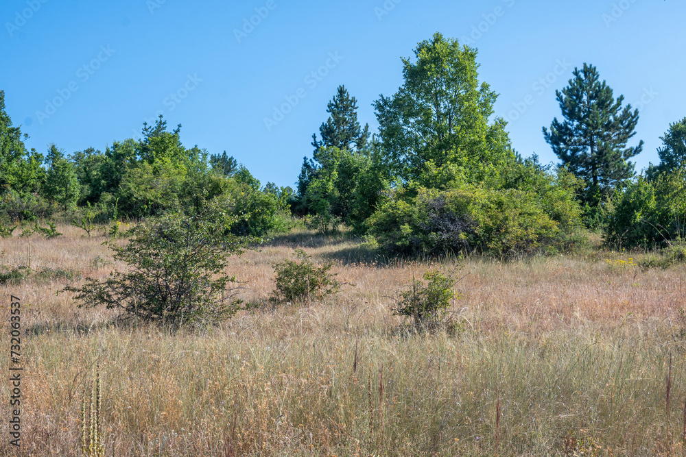 Summer Landscape of Rudina mountain, Bulgaria Summer Landscape of Rudina mountain, Bulgaria