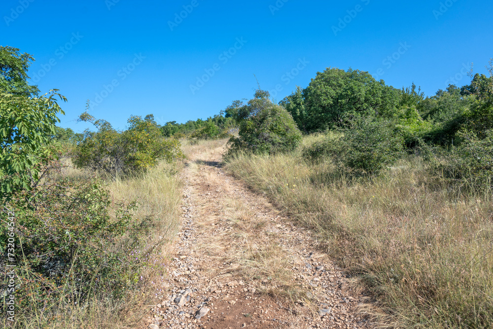 Summer Landscape of Rudina mountain, Bulgaria