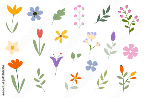 Spring and summer floral collection. Simple and colorful hand-drawn flowers, leaves, and branches. Vector illustration.