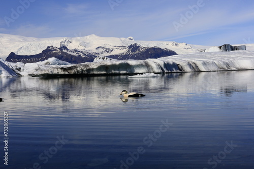 Jökulsárlón is a large glacial lake in southern part of Vatnajökull National Park, Iceland photo