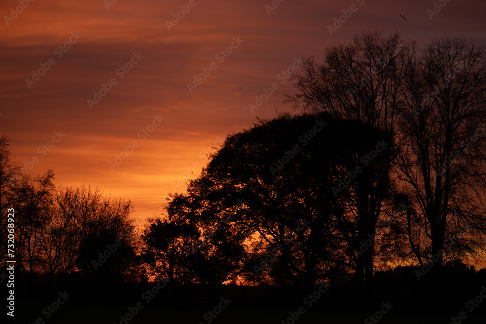 puesta de sol naranja en el campo