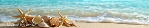 Group of Seashells Resting on Sandy Beach