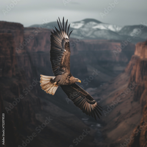 Majestic Eagle Soaring Over Mountain Canyon